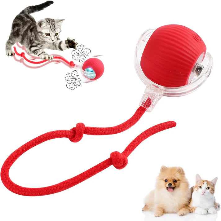 PlayPounce™ - Smart Rolling LED Ball for Dogs & Cats