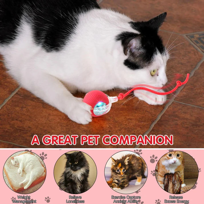 PlayPounce™ - Smart Rolling LED Ball for Dogs & Cats